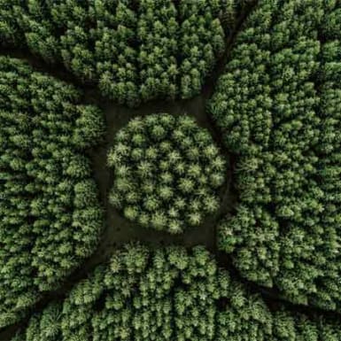 Investing in Nature: the true engine of our economy